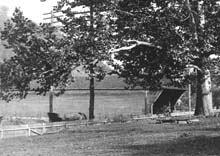 Elizabethton Covered Bridge - 1895